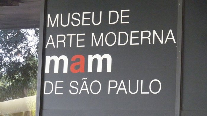 museus com entrada gratuita no mam